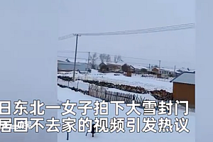 东北大哥屋前铲雪挖一上午没进门 网友:大哥算了等开春雪化吧