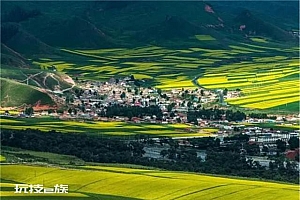 青海:把党的二十大精神转化为推进乡村振兴的定盘星和指南针
