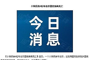 三个月大小狗偷吃布洛芬致死 网友:药物一定要放好