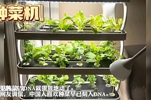 淘宝公布2022年度十大宝贝!网友:阳台种菜机?