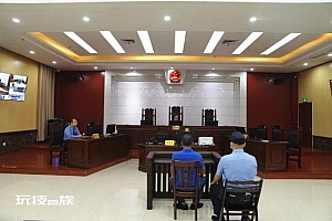 男子砍伐自家种的树被判2年半 缓刑3年并处罚金15000元