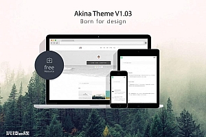 UI简洁主题AKINA Theme-WordPress主题源码