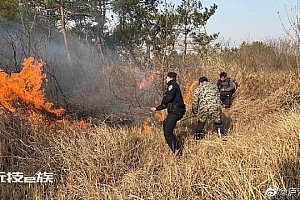 村民烧纸祭祖时起大风大片杂草被引燃 民警火速出击