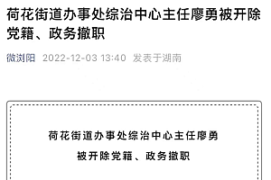 湖南街道干部带人上门打人 官方:撤职!