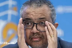 世卫组织总干事谭德赛叔叔被杀害 记者会满怀悲愤