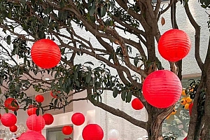 40岁:站在自学和成长的新起点