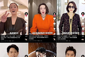 向太成不了“下一个张兰”