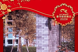 杨紫春晚风衣会成爆款吗 秦岚绿色毛衣12分钟售罄