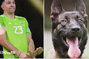 英媒:马丁内斯花2万镑买下1只警犬  网友:大马丁你又搞怪了