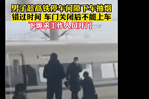 男子疑因抽烟错过高铁 跪地求开门,工作人员回应:东西给你存好你坐下班车