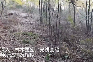 救援队称胡鑫宇遗体发现地没搜过  该区域基本无人 被发现时遗体几乎是“骸骨”衣服疑反穿