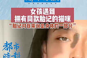 女孩遇到面部有同款胎记的猫咪 那是怕你们找不到对方的印记