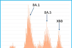 新“毒王”XBB强势来袭:病毒变异不可怕,可怕的是恐慌!