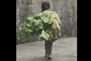 背菜前行小女孩家人:1年赚20万不穷  家里不缺钱就是锻炼锻炼