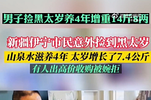 男子捡黑太岁养4年增重14斤8两 网友:太岁是植物还是动物?