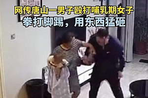 唐山:男子家暴哺乳期妻子:用儿童车猛砸对方头部!
