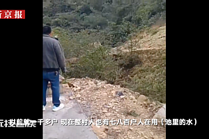 泡了6天才发现:储水池现15头死猪数百户喝池里水!