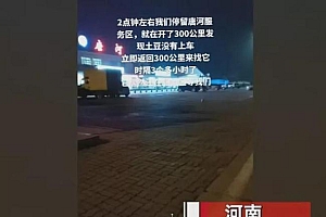 女子开了300公里发现把狗忘在服务区 还好狗狗乖乖在原地等她