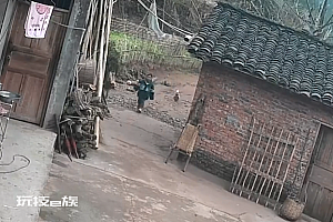 男孩回老家被大公鸡猛追吓哭,妈妈:这只鸡保不住了