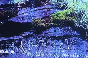 男子梵净山金顶刻字4个字判赔12万   二审维持原判为自己犯的错买单