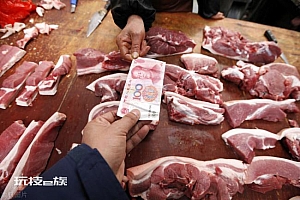 大面积“破7”!猪价现“开工跌”业内分析短期供应压力仍存