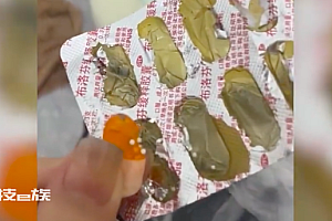 小狗趁主人不在家偷吃6颗布洛芬 狗:主人吃的我也要!?