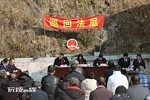 260多岁的红豆杉被砍了熏腊肉 两人获刑并处罚金34860元