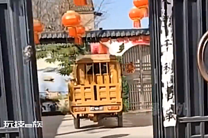 大衣哥儿媳陈萌跟朱小伟回村,一双细腿实力抢镜,身材碾压陈亚男,常在村里撒狗粮
