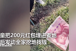 两男童麦地埋200元压岁钱 全家帮找  谁能想到是熊孩子商量好故意藏起来了