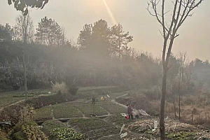 山中抱团养老十年:曾是同事兼猎友,修建几年很快乐 住的时候发现琐事缠身