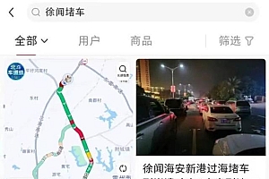 官方回应徐闻大堵车:党干支援 打击黄牛高价带路