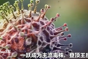 XBB头号毒株来袭 孩子要注意什么? 一定要牢记有些药切勿给孩子使用