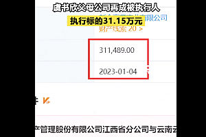 虞书欣父母公司再成被执行人   粉丝:哪家公司还没点合同纠纷呢?