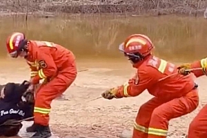 中学生湖边烧烤半个身子陷入淤泥:拔萝卜式将二人拔出