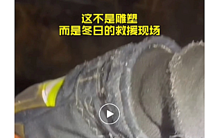 “冰冻手套”火了! 背后的故事令人泪目 你可以永远相信他们!