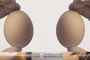 2块钱鸡蛋和5毛钱鸡蛋的区别  本质上区别不大主要是价格差异大
