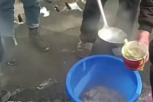 司机因雨雪被困高速饥寒交迫,附近村民送去热面条暖心又暖胃!