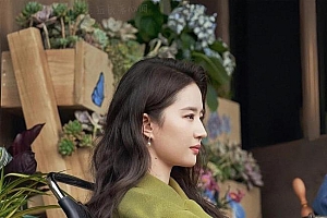 全网都在求刘亦菲去家乡代言:云南旅游赢了,刘亦菲赢了