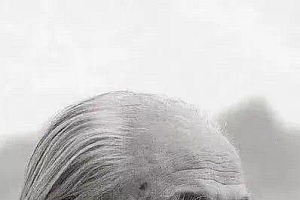 侯一民去世:第三、四套人民币的设计者之一!