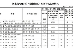 电力央企薪酬榜:国家电网董事长年薪90万 大唐董事长68万