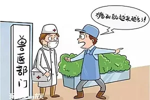 非洲猪瘟卷土重来!一国紧急发布运输禁令!人吃了会怎样