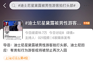 迪士尼星黛露被男性游客拍打头部,官方:类似行为将被禁止入园
