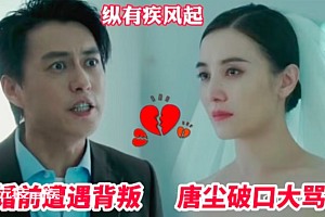 靳东惨遭宋佳出卖破产!俩人眼神里都是戏相爱相杀有看头
