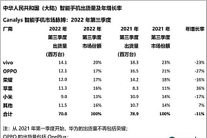 “内卷之王”vivo:成败即将见分晓