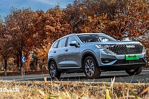 长城求变,手术刀伸向子女