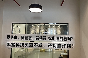 裁员、欠薪,游戏手机黑鲨离场,小而美的黄金时代结束 | 焦点分析