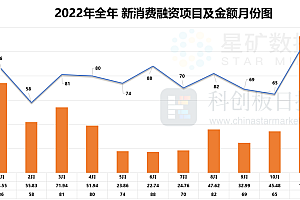 新消费投融资年报(上):全年903起融资,谁被抄底?谁被抄家?