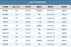 张江杀出一个独角兽天团