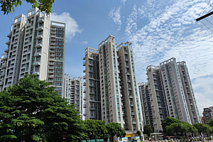 放开限购首周东莞迎“标志性一幕”:咨询量大增,新房周成交量环增950%