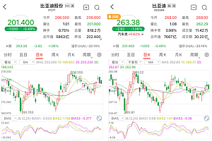 2023年巴菲特再减持比亚迪